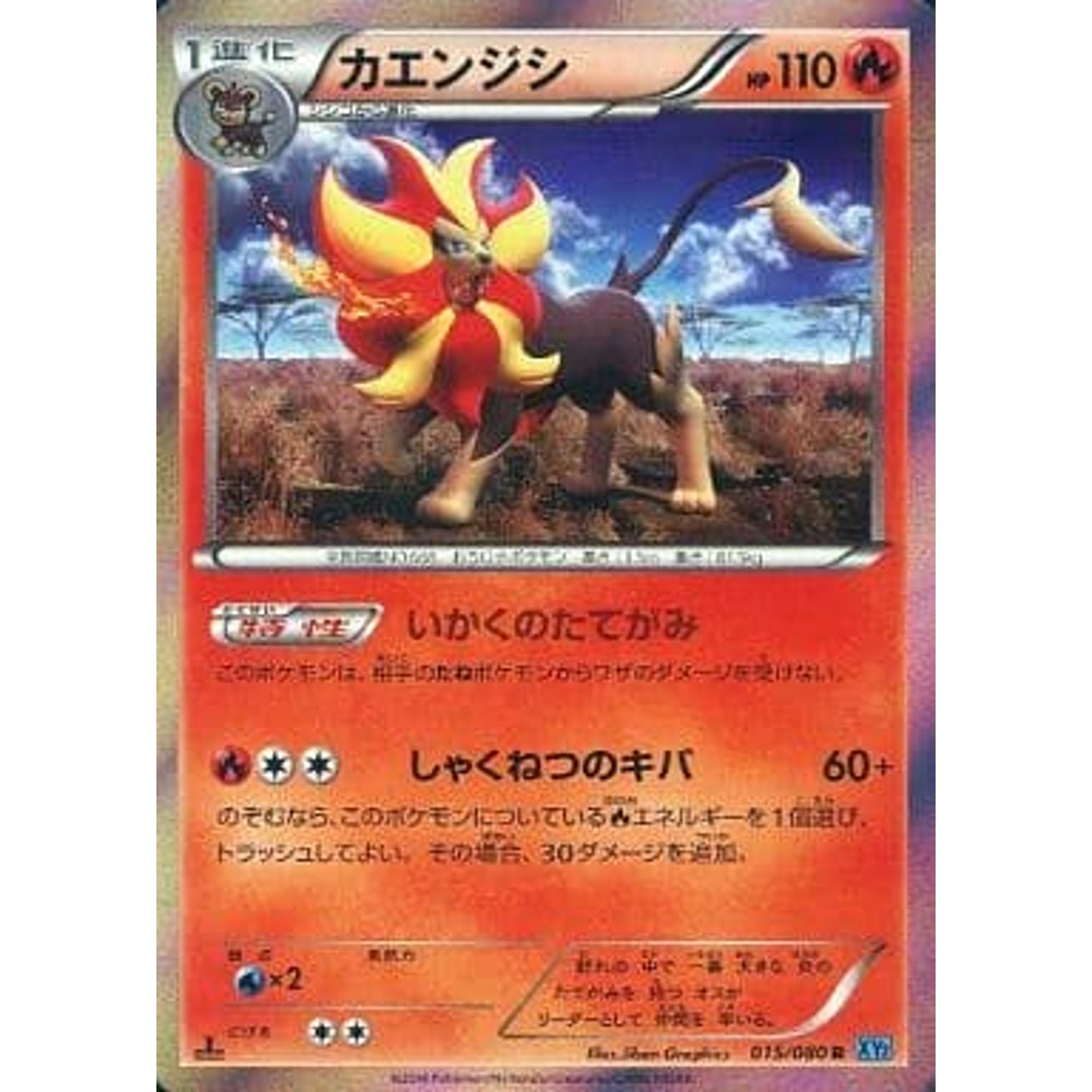 Pokemon Pyroar Holo R 015/080 XY2 Wild Blaze Japanese Pokemon Card [USED]