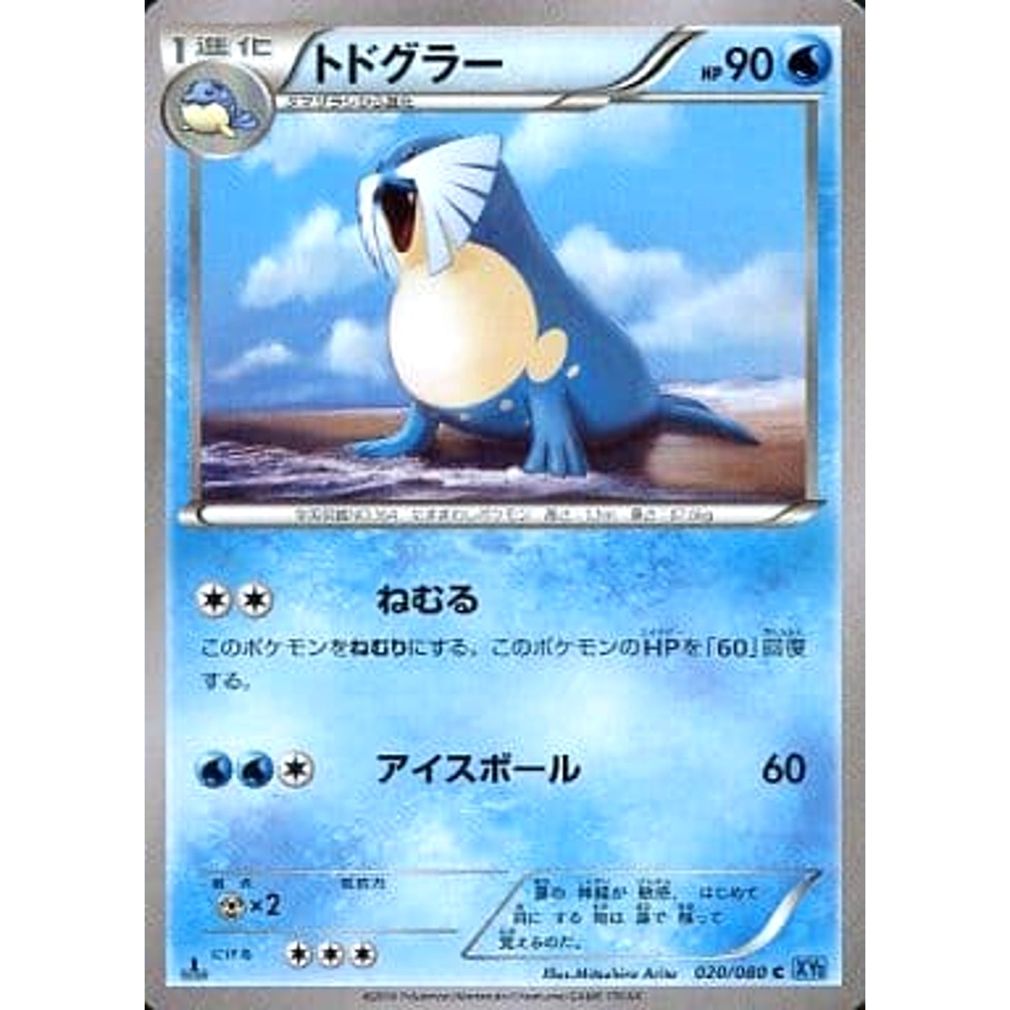 Pokemon Sealeo C 020/080 XY2 Wild Blaze Japanese Pokemon Card [USED]