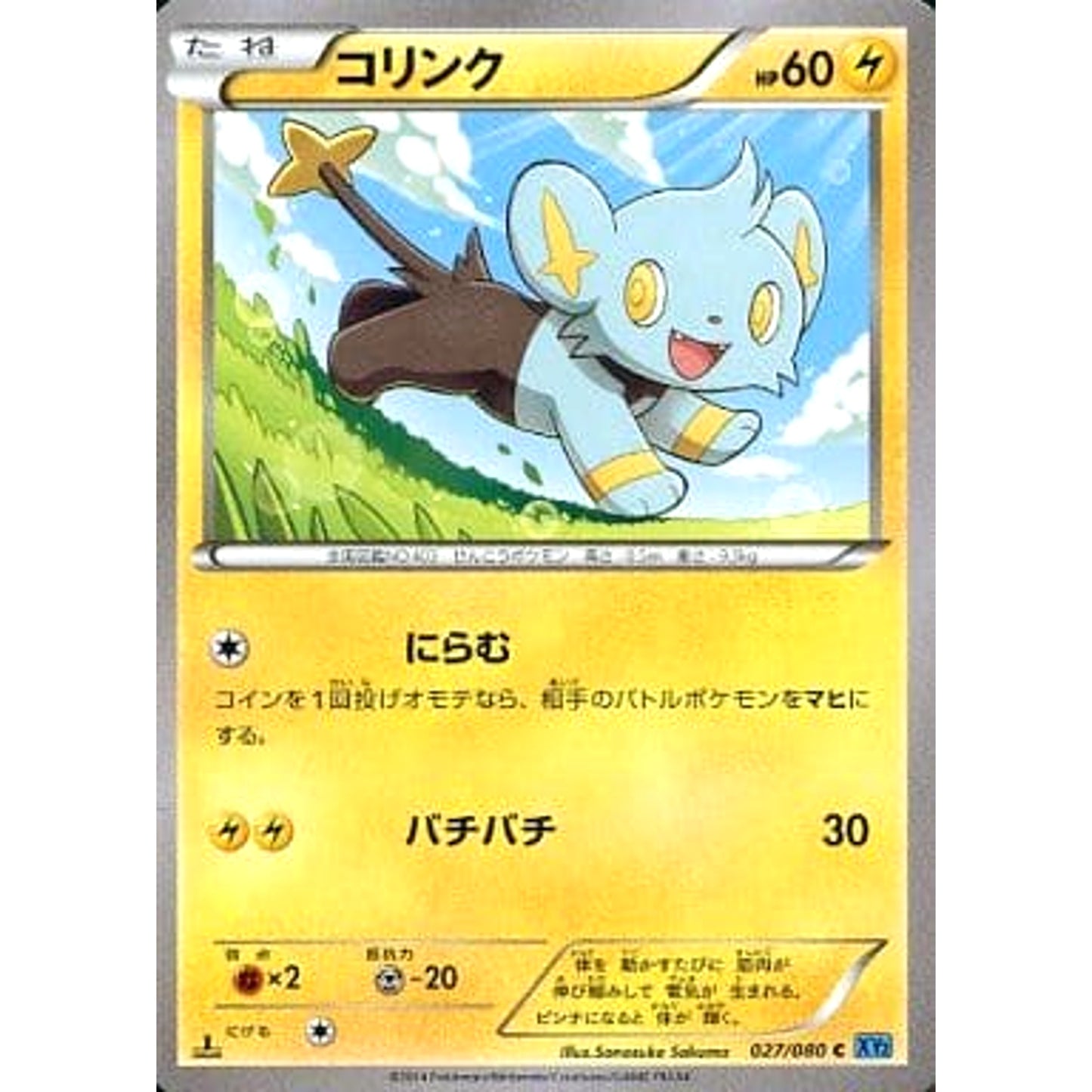 Pokemon Shinx C 027/080 XY2 Wild Blaze Japanese Pokemon Card [USED]