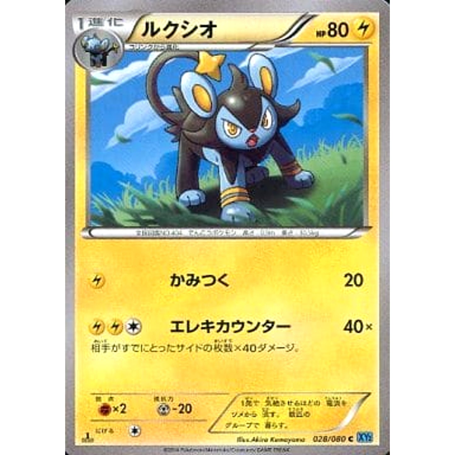 Pokemon Luxio C 028/080 XY2 Wild Blaze Japanese Pokemon Card [USED]