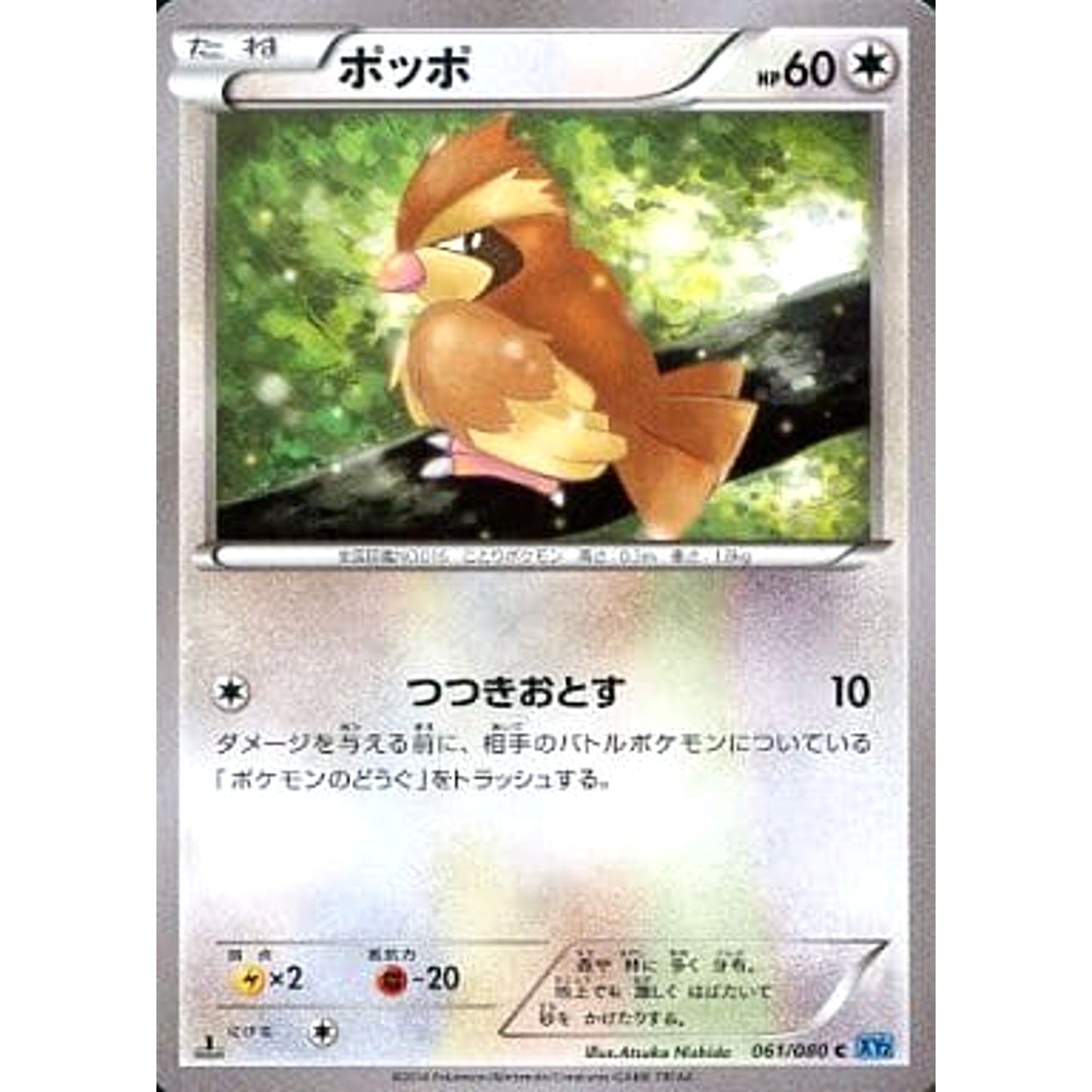 Pokemon Pidgey C 061/080 XY2 Wild Blaze Japanese Pokemon Card [USED]