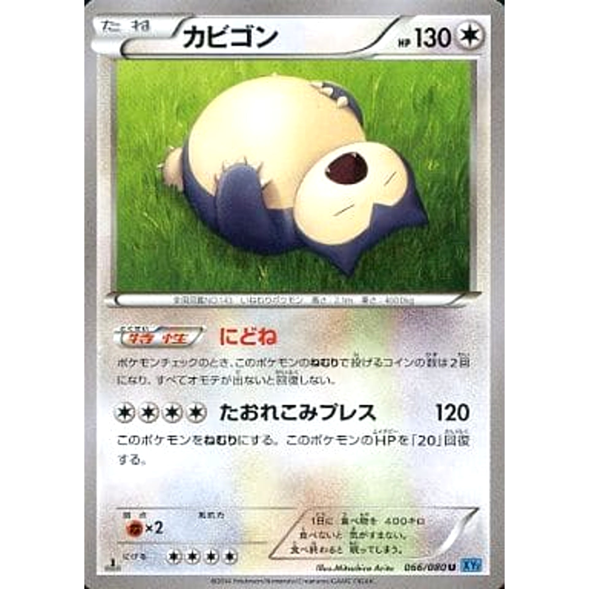 Pokemon Snorlax U 066/080 XY2 Wild Blaze Japanese Pokemon Card [USED]