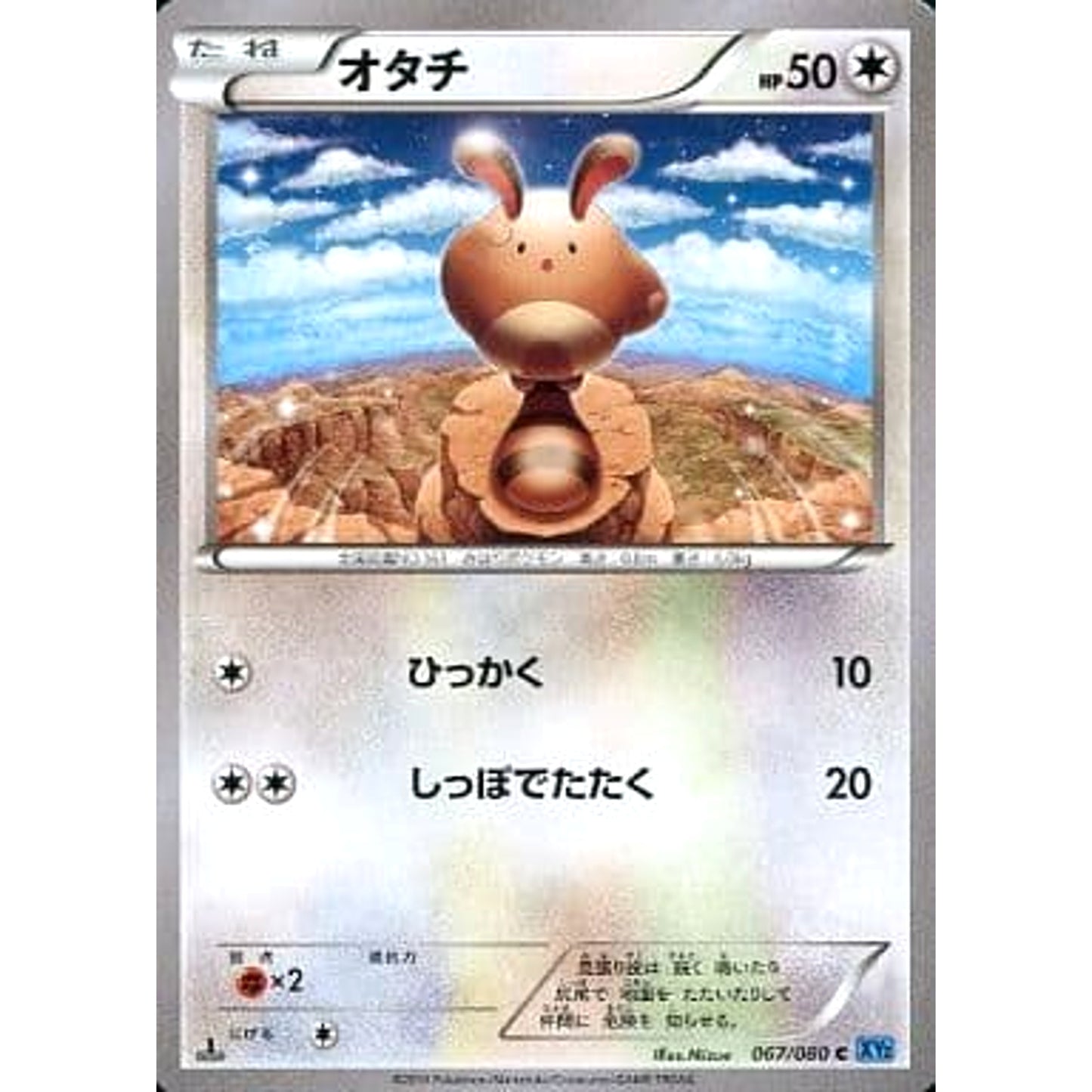 Pokemon Sentret C 067/080 XY2 Wild Blaze Japanese Pokemon Card [USED]