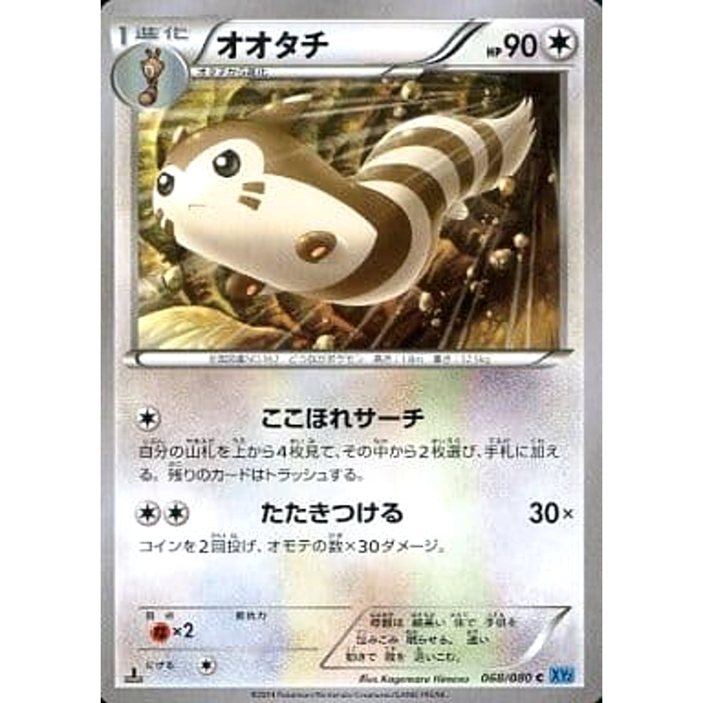 Pokemon Furret C 068/080 XY2 Wild Blaze Japanese Pokemon Card [USED]