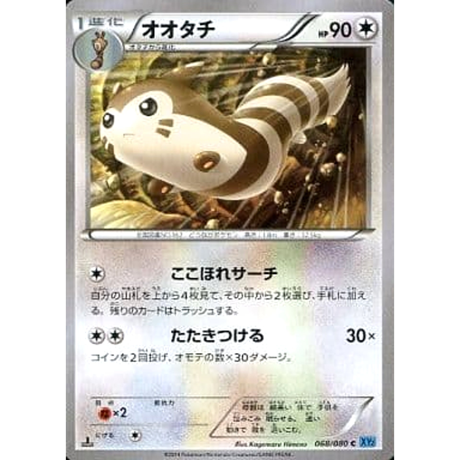 Pokemon Furret C 068/080 XY2 Wild Blaze Japanese Pokemon Card [USED]