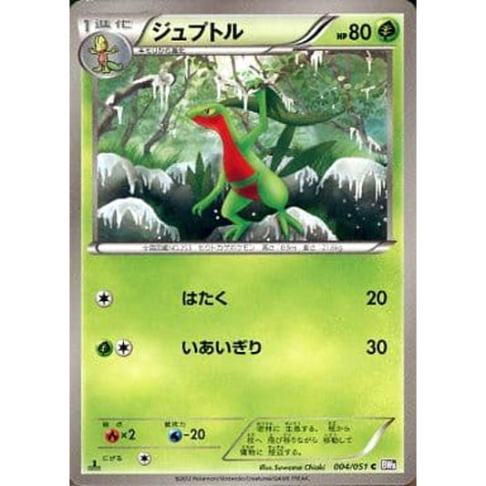 Pokemon Grovyle C 004/051 BW8 Spiral Force Japanese Pokemon Card [USED]