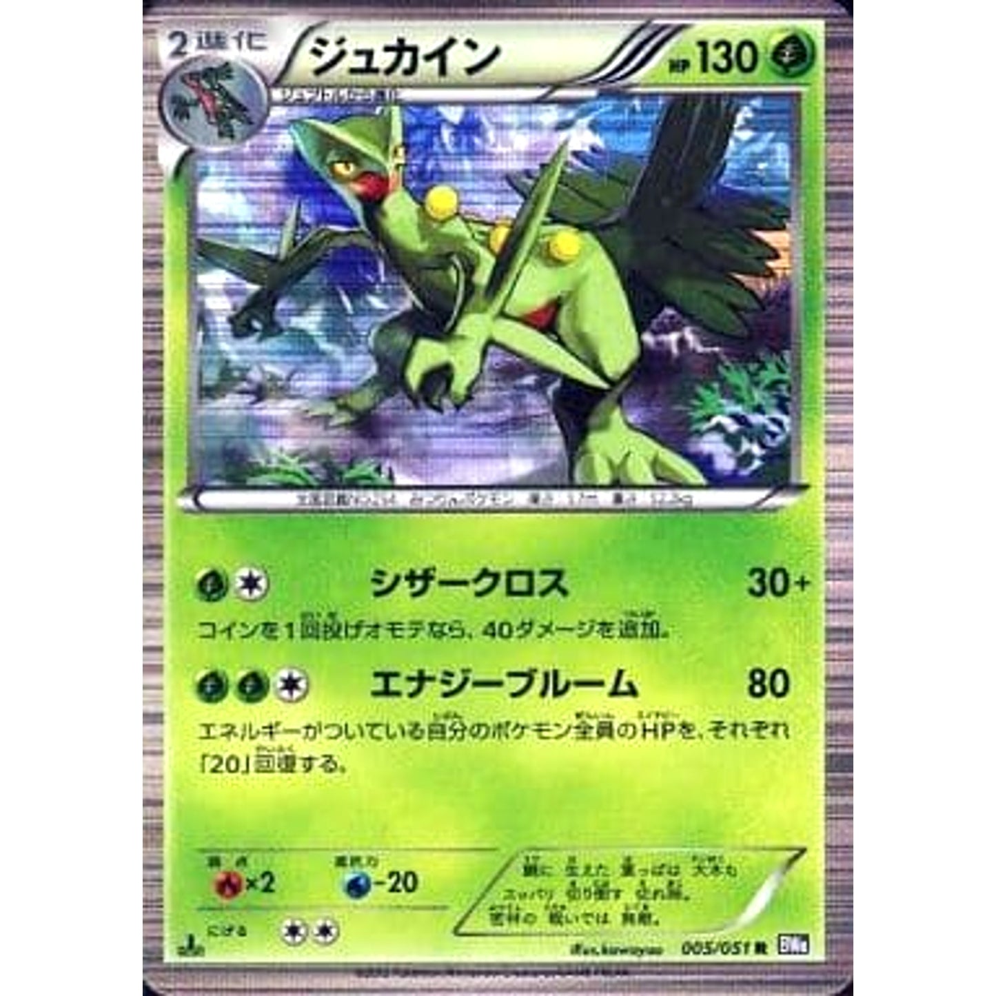 Pokemon Sceptile Holo R 005/051 BW8 Spiral Force Japanese Pokemon Card [USED]