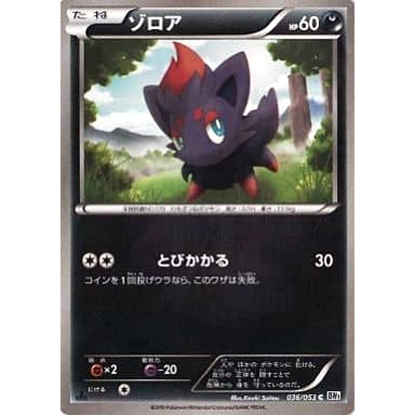 Pokemon Zorua C 036/053 BW1 White Collection Japanese Pokemon Card [USED]
