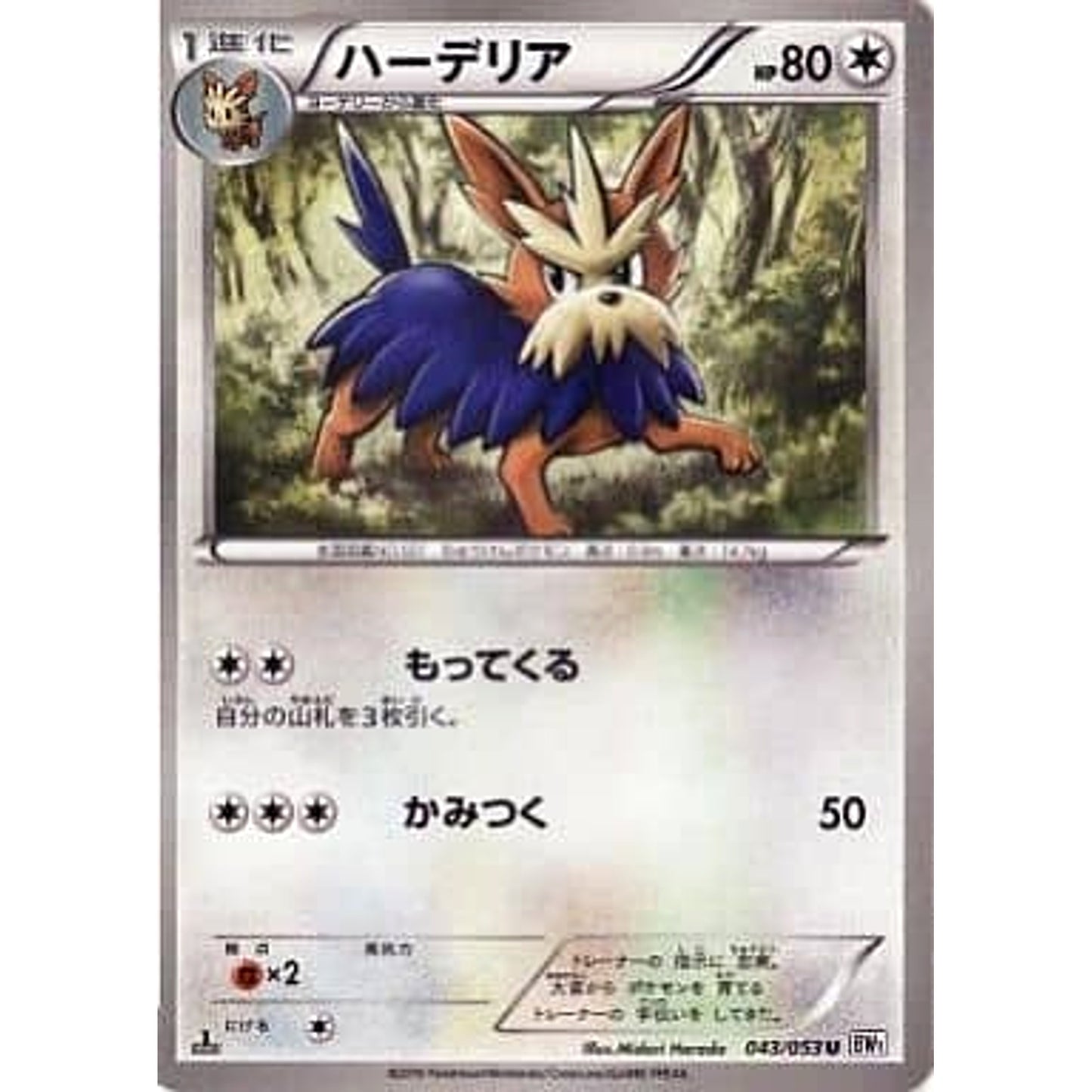Pokemon Herdier U 043/053 BW1 White Collection Japanese Pokemon Card [USED]