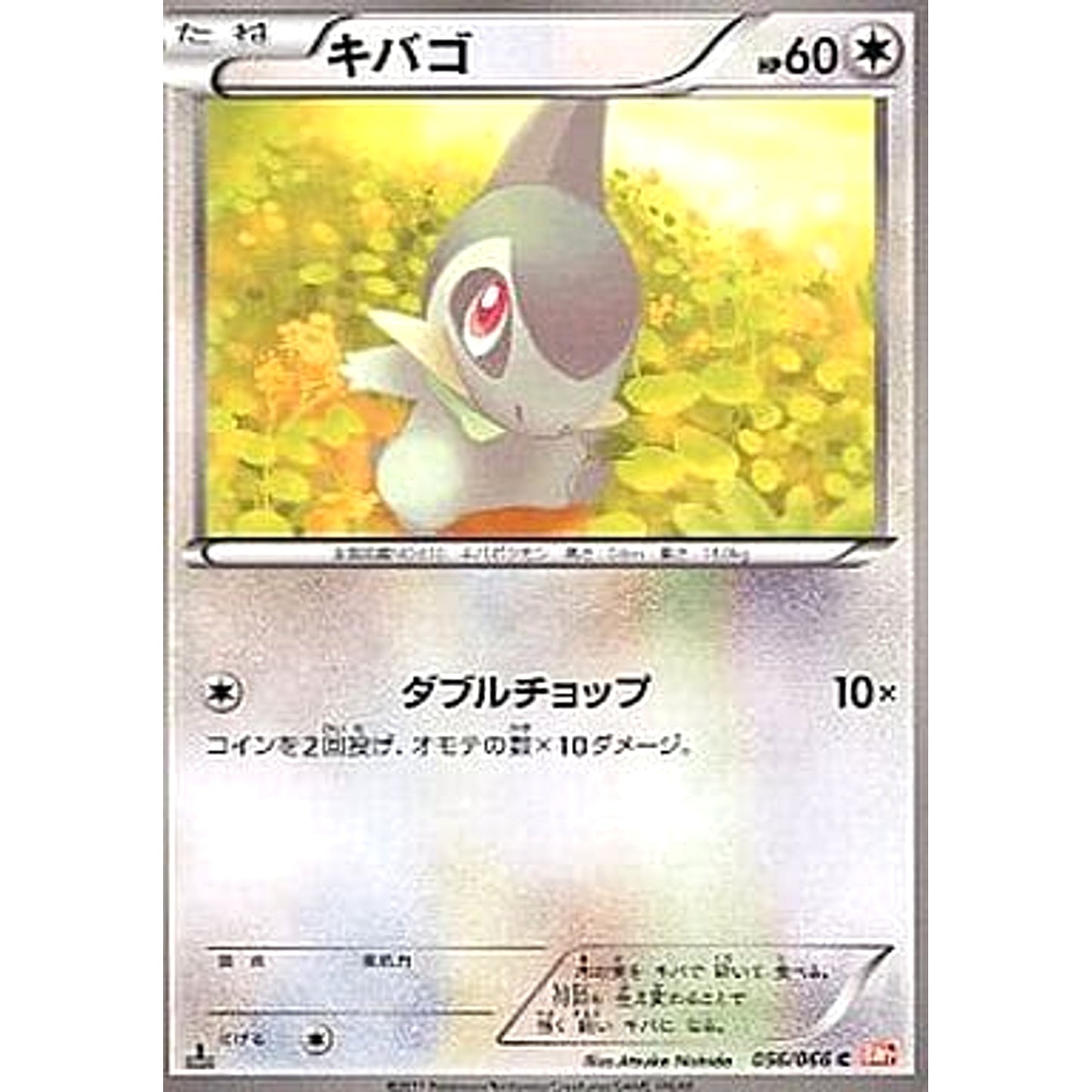 Pokemon Axew C 056/066 BW2 Red Collection Japanese Pokemon Card [USED]