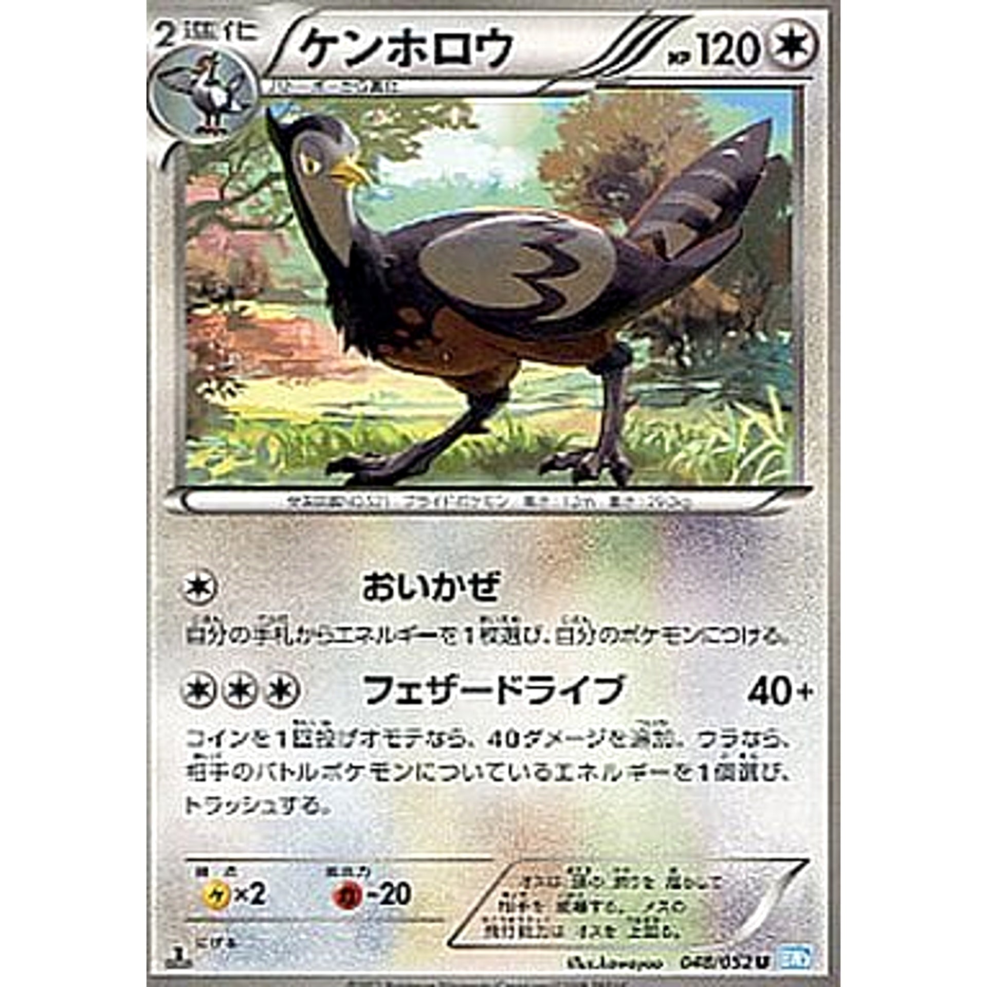 Pokemon Unfezant U 048/052 BW3 Hail Blizzard Japanese Pokemon Card [USED]