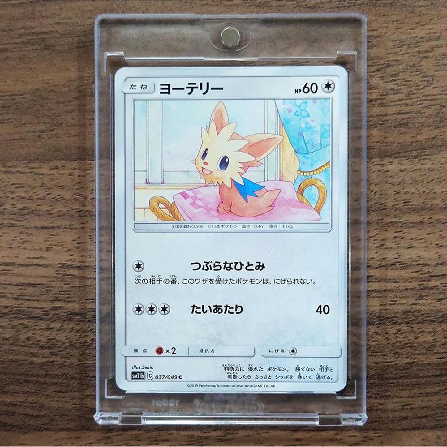 Lillipup C 037/049 SM11b Dream League Japanese Pokemon Card [USED]