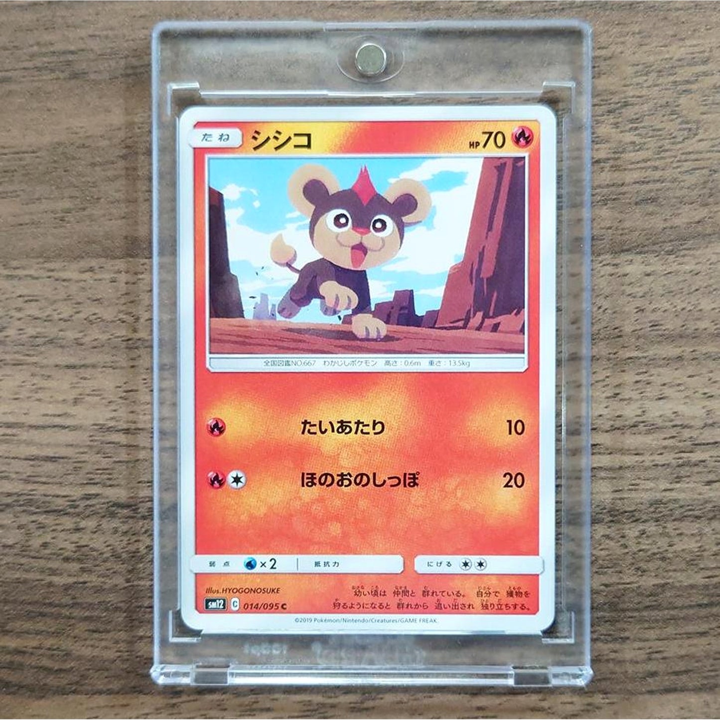 Litleo C 014/095 SM12 Alter Genesis Japanese Pokemon Card [USED]