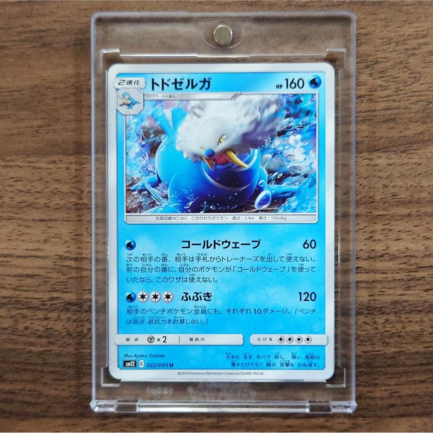 Walrein U 022/095 SM12 Alter Genesis Japanese Pokemon Card [USED]