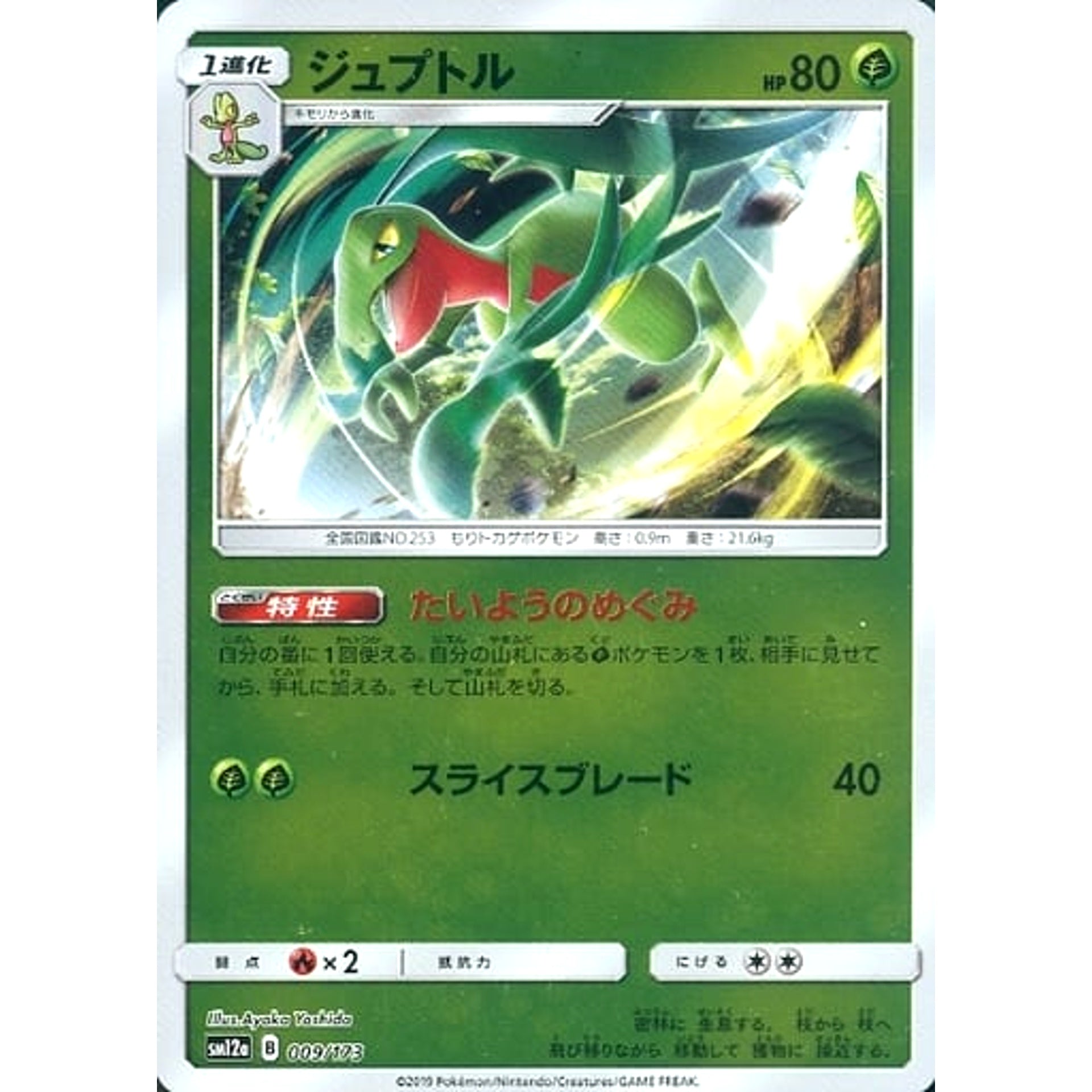 Pokemon Grovyle Reverse Holo 009/173 SM12a Tag All Stars Japanese Pokemon Card [USED]