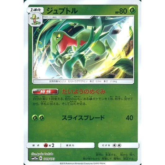 Pokemon Grovyle Reverse Holo 009/173 SM12a Tag All Stars Japanese Pokemon Card [USED]