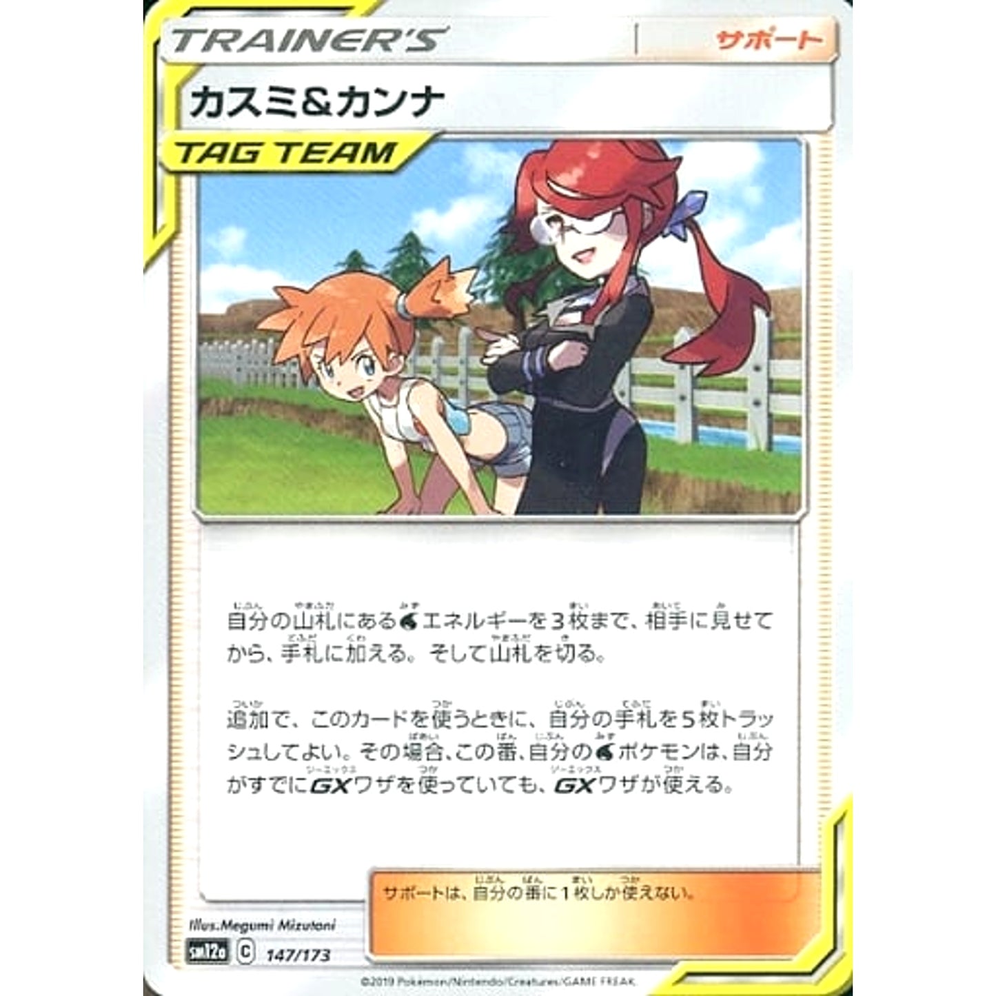 Pokemon Misty & Lorelei 147/173 SM12a Tag All Stars Japanese Pokemon Card [USED]