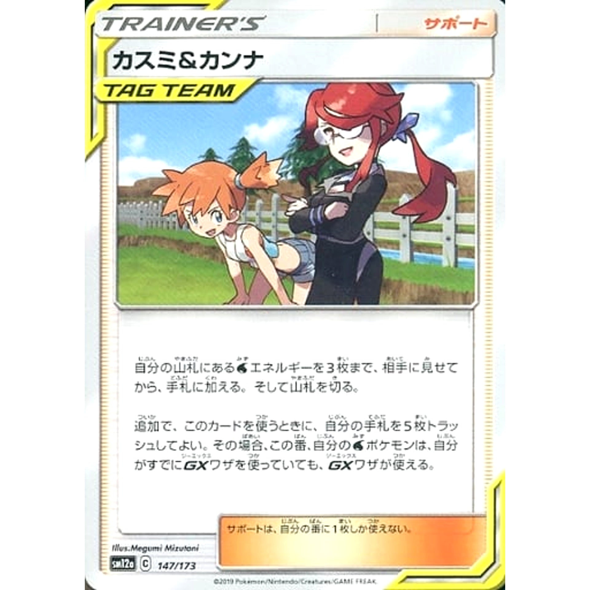 Pokemon Misty & Lorelei 147/173 SM12a Tag All Stars Japanese Pokemon Card [USED]