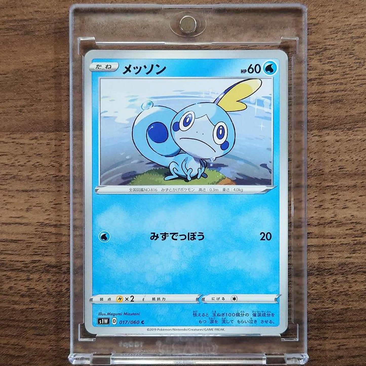 Sobble C 017/060 S1W Sword Japanese Pokemon Card [USED]