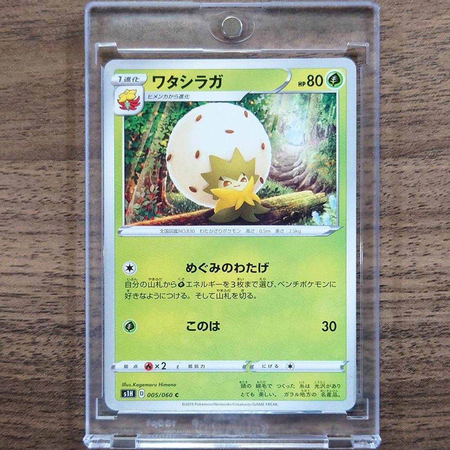 Eldegoss C 005/060 S1H Shield Japanese Pokemon Card [USED]
