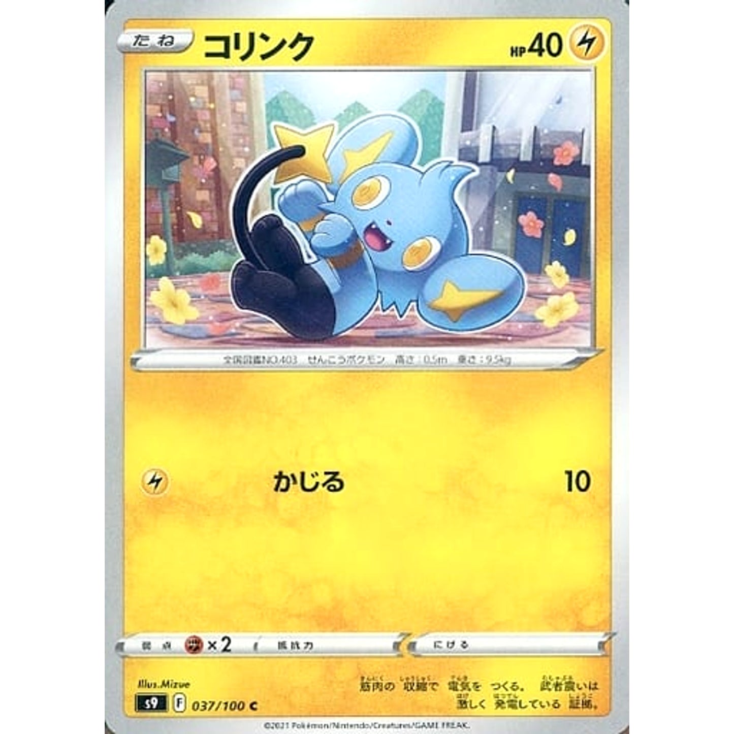 Pokemon Shinx C 037/100 S9 Star Birth Japanese Pokemon Card [USED]