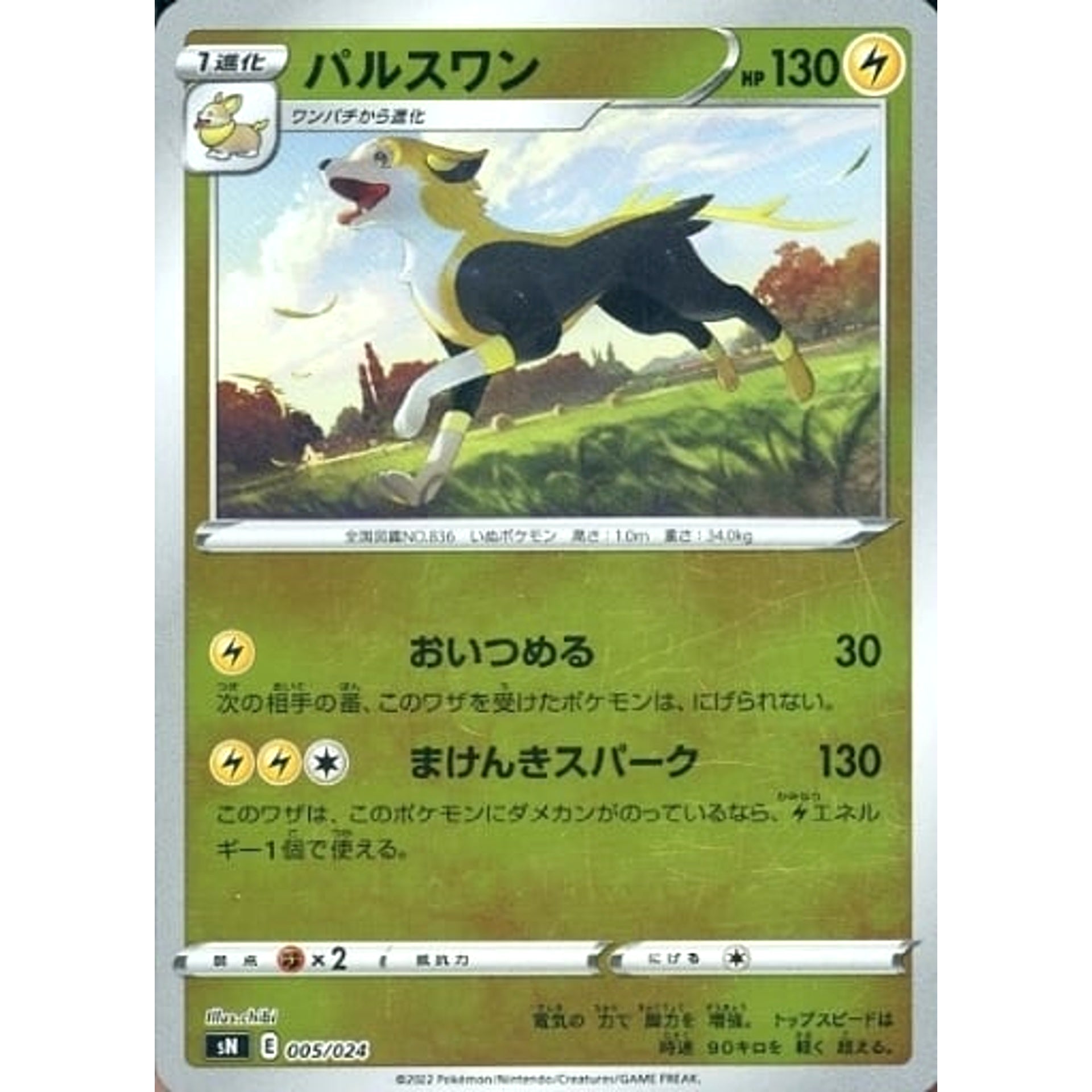 Pokemon Boltund Holo 005/024 SN Start Deck 100 CoroCoro Comic Version Japanese Pokemon Card [USED]