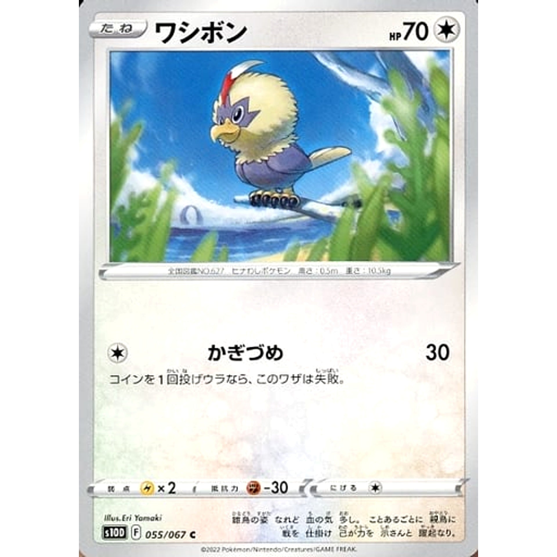 Pokemon Rufflet C 055/067 S10D Time Gazer Japanese Pokemon Card [USED]