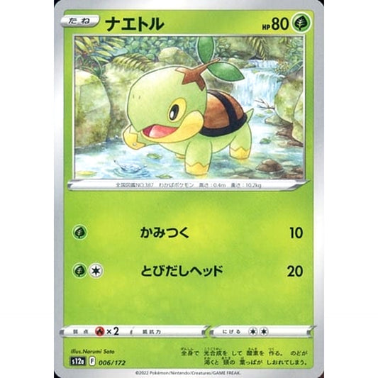 Pokemon Turtwig 006/172 S12a VSTAR Universe Japanese Pokemon Card [USED]