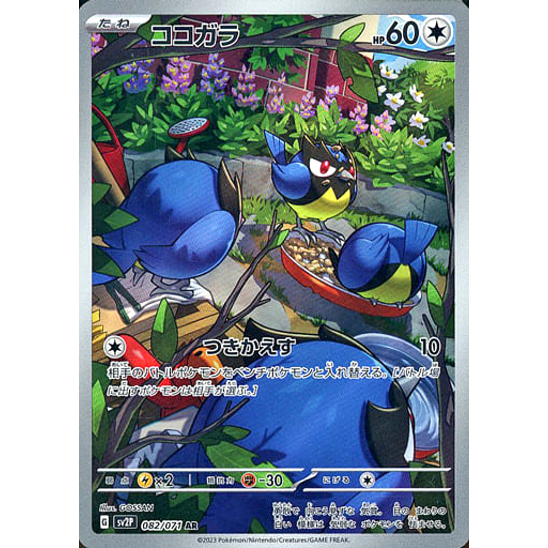 Pokemon Rookidee Holo AR 082/071 SV2P Snow Hazard Japanese Pokemon Card [USED]