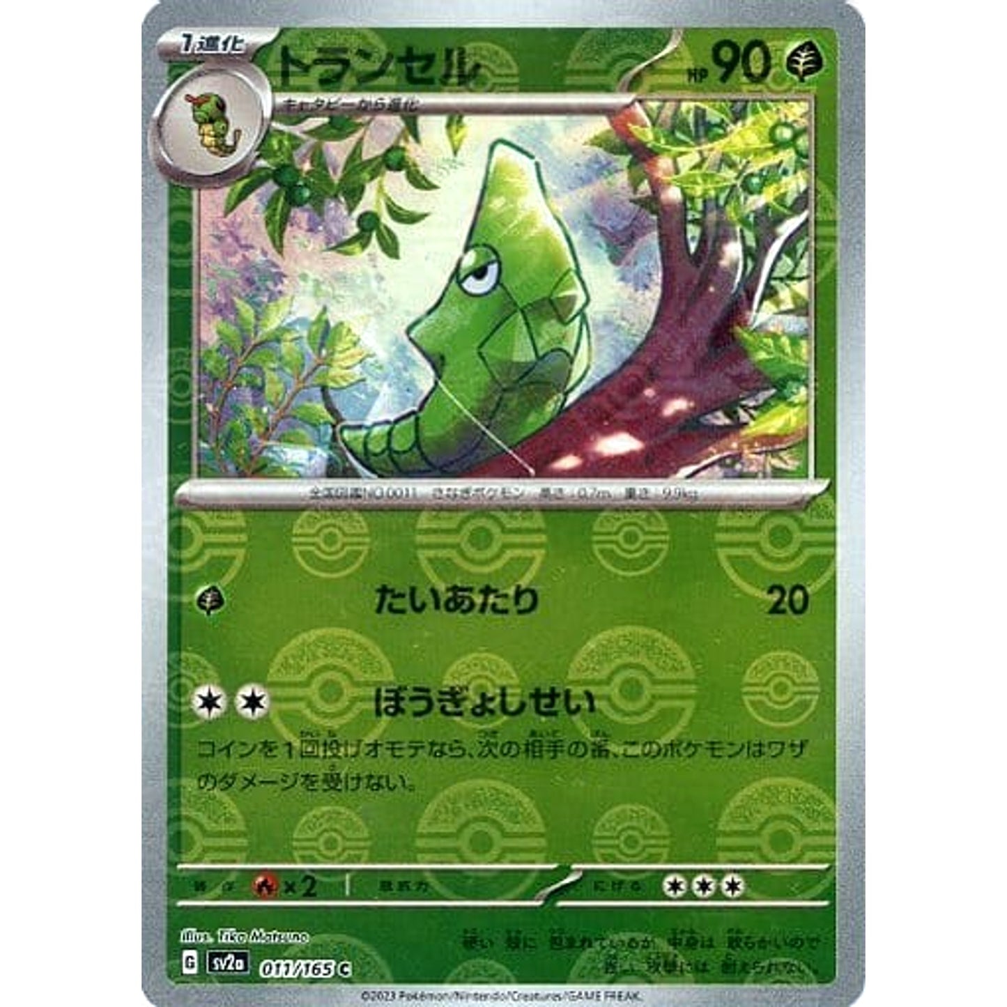 Pokemon Metapod Reverse Holo C 011/165 SV2a Pokemon Card 151 Japanese Pokemon Card [USED]