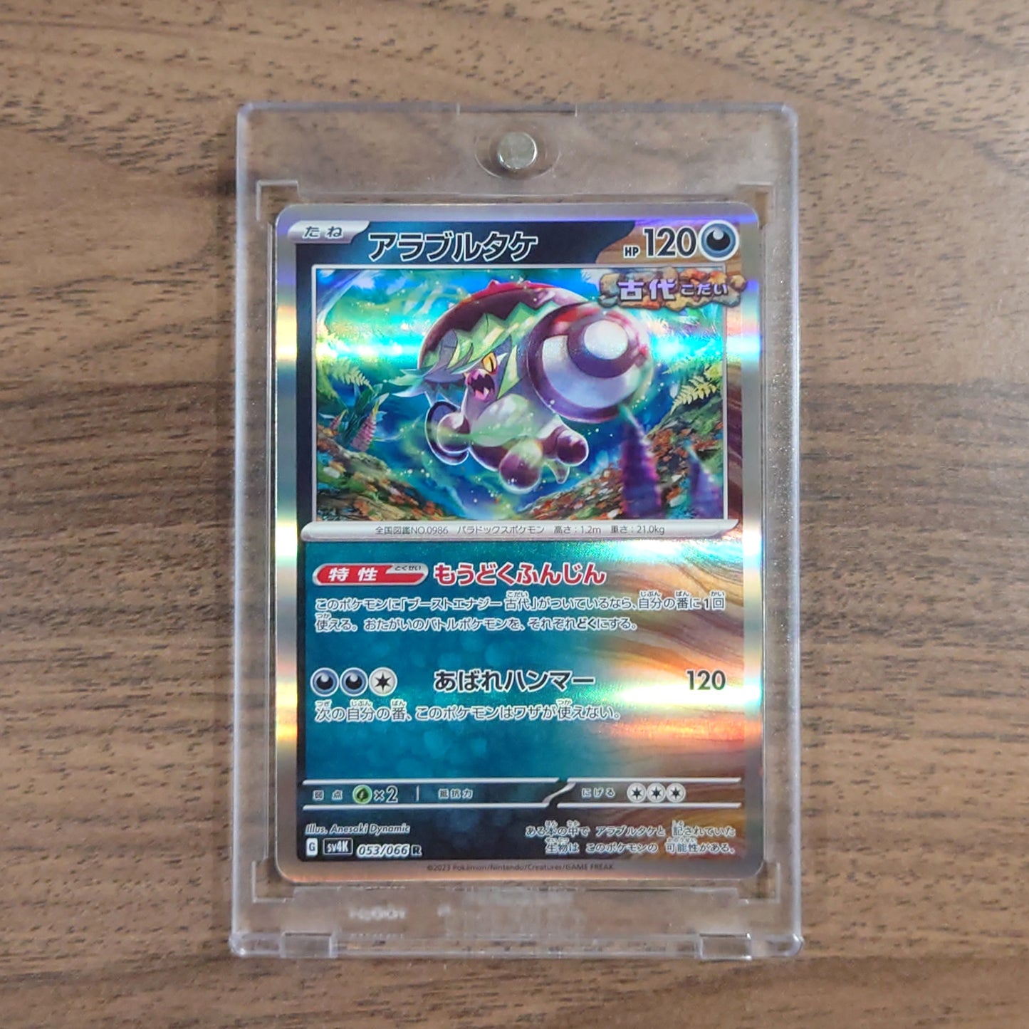 Brute Bonnet Holo R 053/066 SV4K Ancient Roar Japanese Pokemon Card [USED]