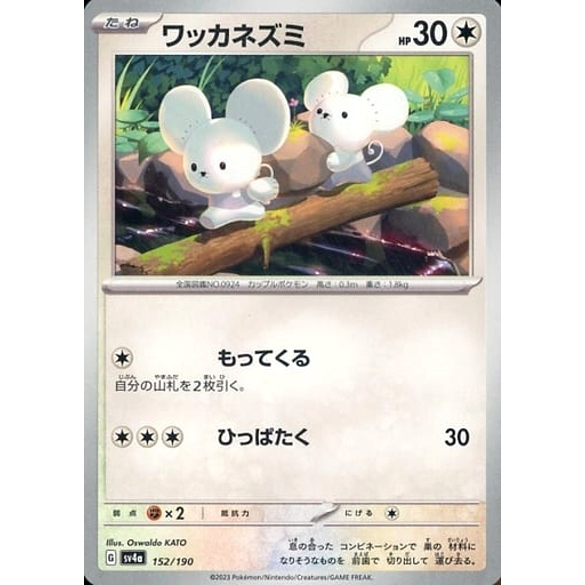 Pokemon Tandemaus 152/190 SV4a Shiny Treasure ex Japanese Pokemon Card [USED]