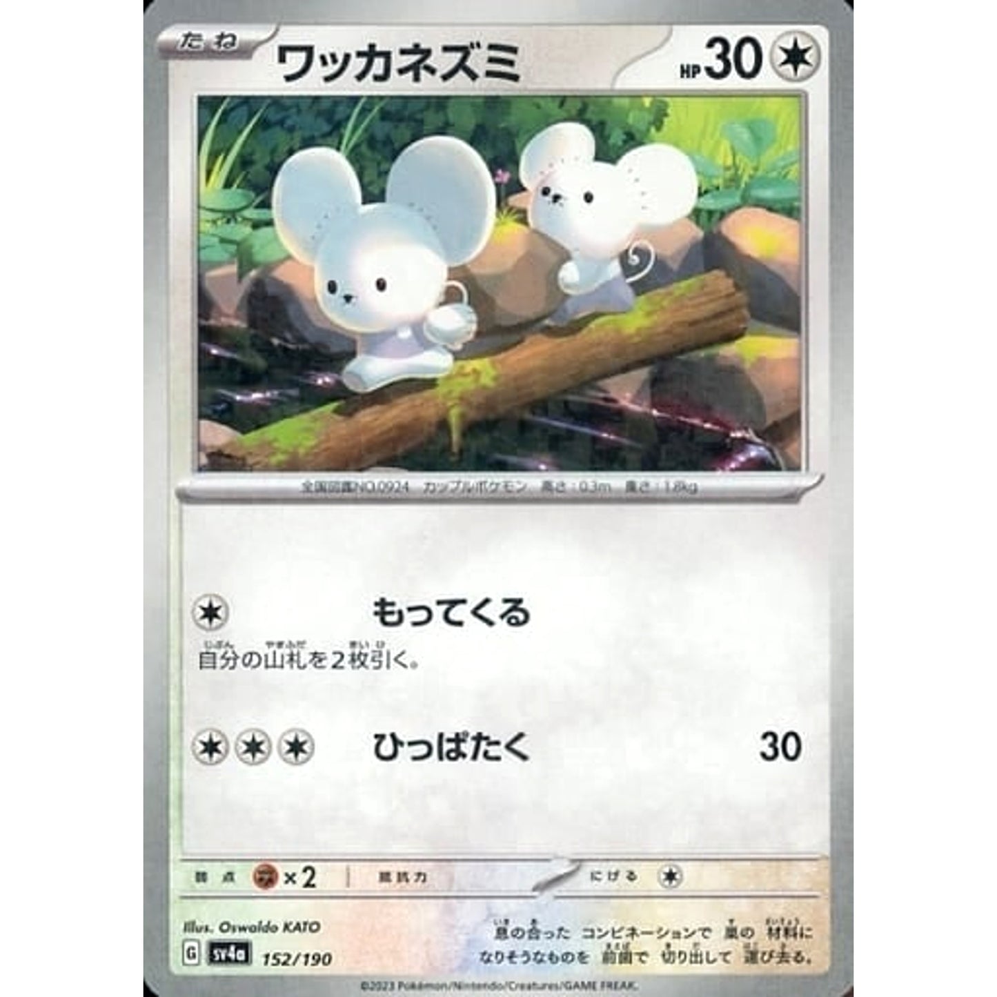 Pokemon Tandemaus Reverse Holo 152/190 SV4a Shiny Treasure ex Japanese Pokemon Card [USED]