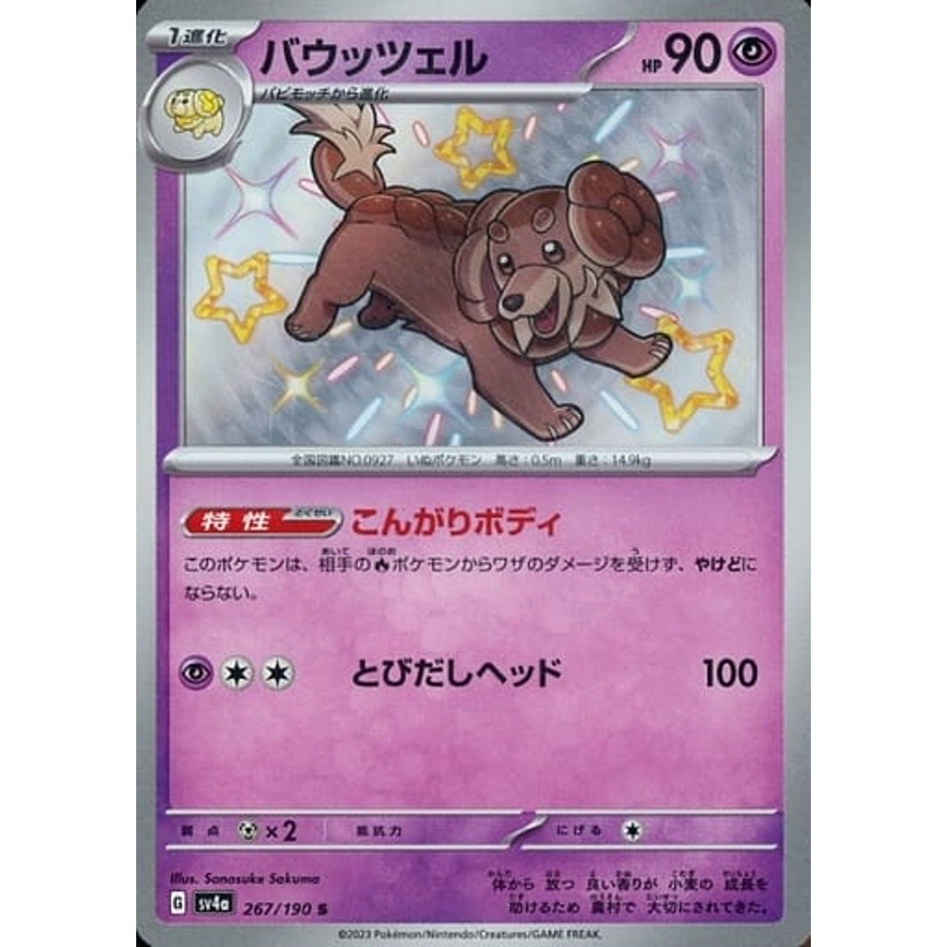 Pokemon Dachsbun Holo S 267/190 SV4a Shiny Treasure ex Japanese Pokemon Card [USED]