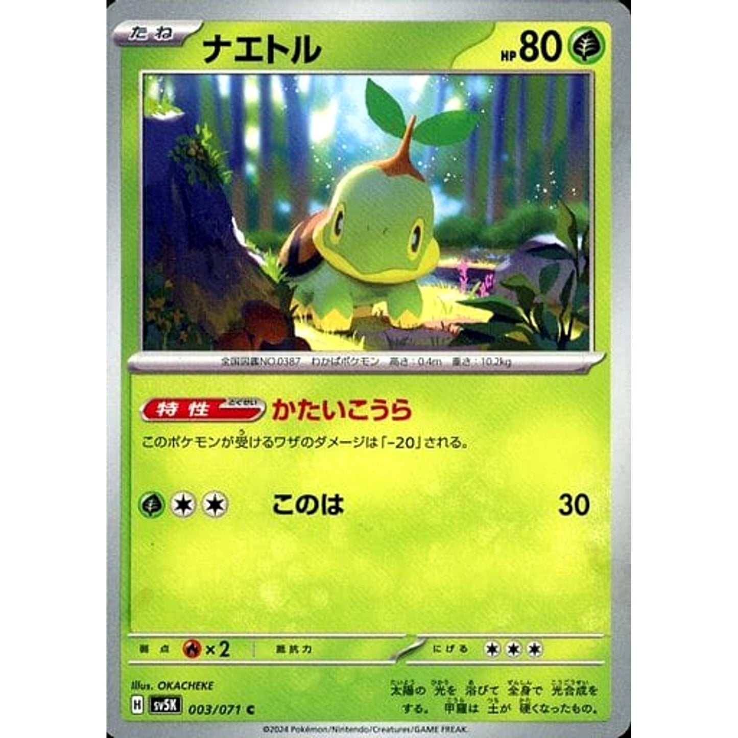Pokemon Turtwig C 003/071 SV5K Wild Force Japanese Pokemon Card [USED]