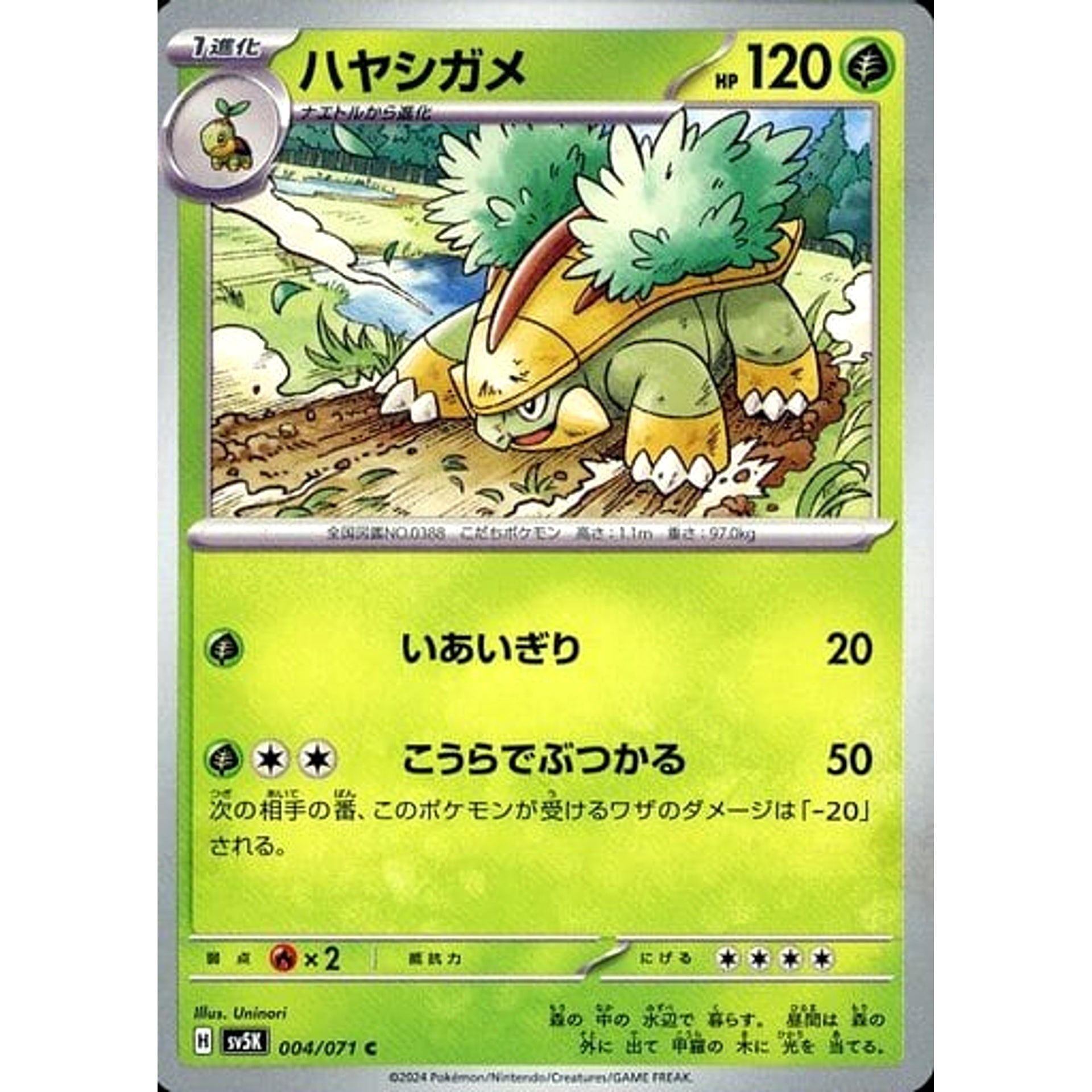 Pokemon Grotle C 004/071 SV5K Wild Force Japanese Pokemon Card [USED]
