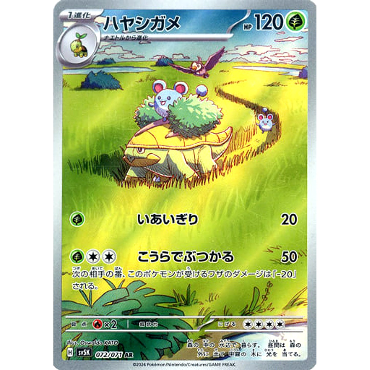 Pokemon Grotle Holo AR 072/071 SV5K Wild Force Japanese Pokemon Card [USED]