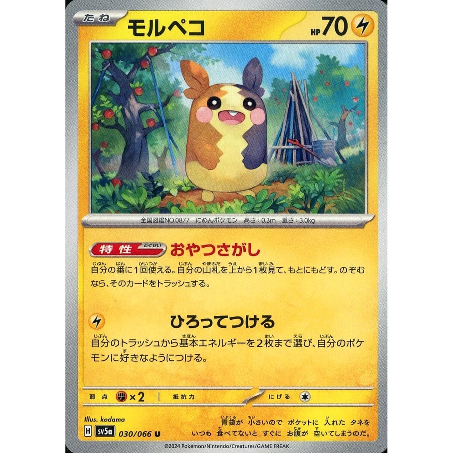Pokemon Morpeko U 030/066 SV5a Crimson Haze Japanese Pokemon Card [USED]