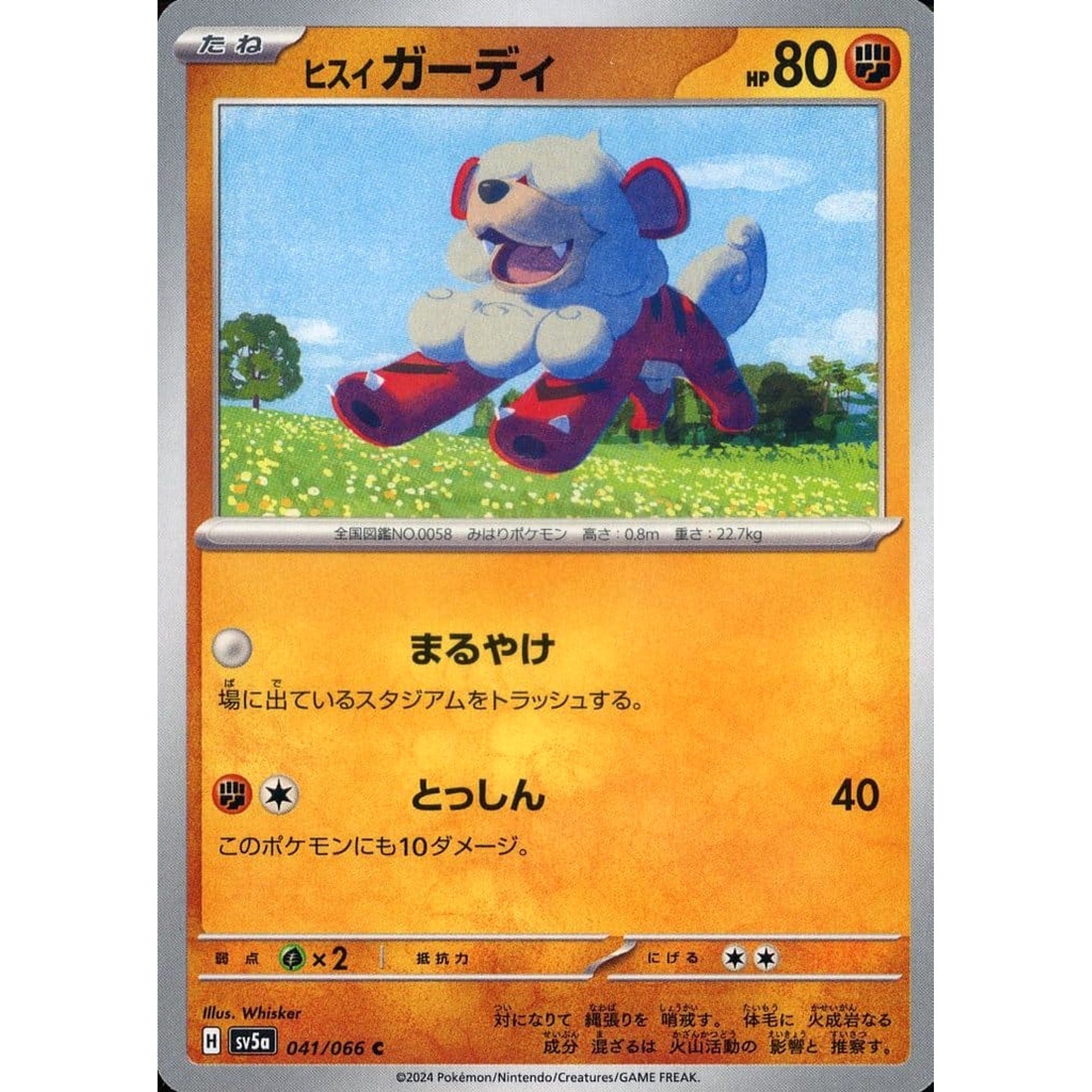 Pokemon Hisuian Growlithe C 041/066 SV5a Crimson Haze Japanese Pokemon Card [USED]