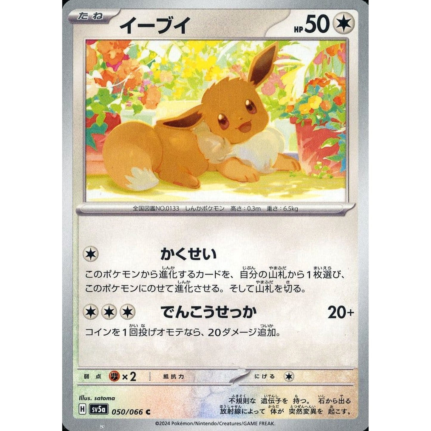 Pokemon Eevee C 050/066 SV5a Crimson Haze Japanese Pokemon Card [USED]