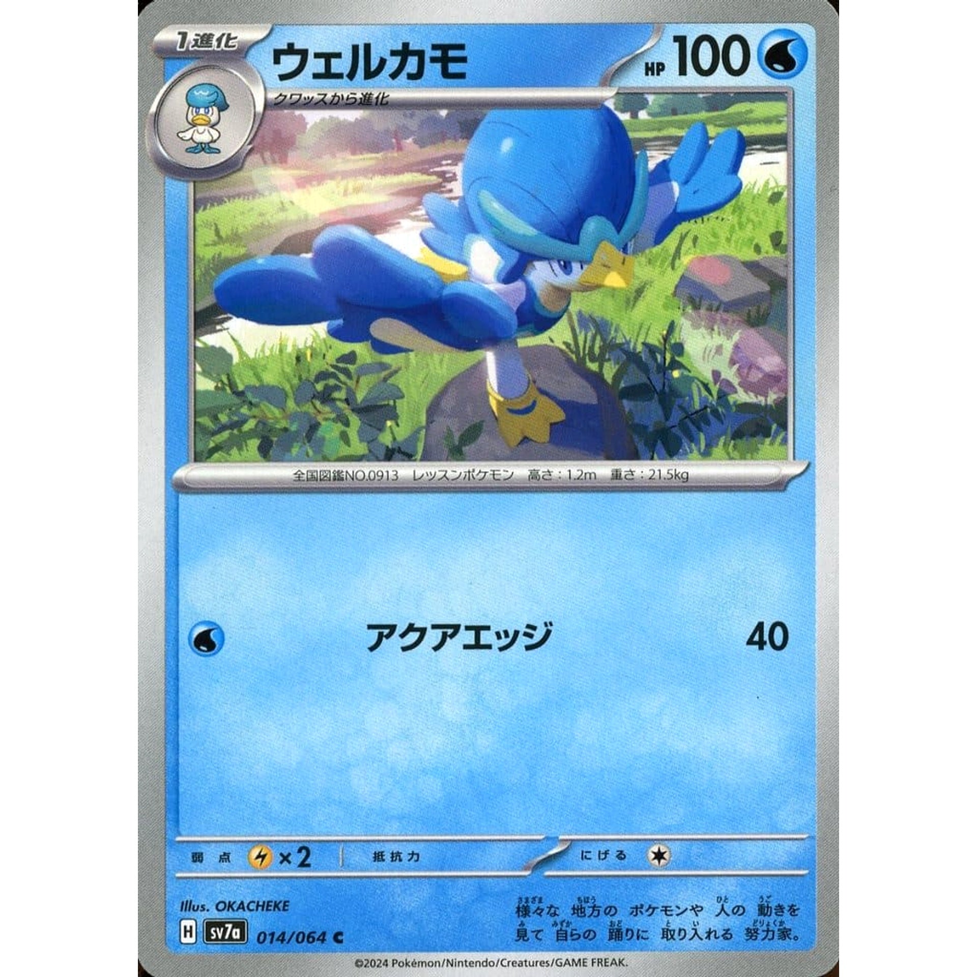 Pokemon Quaxwell C 014/064 SV7a Paradise Dragona Japanese Pokemon Card [USED]