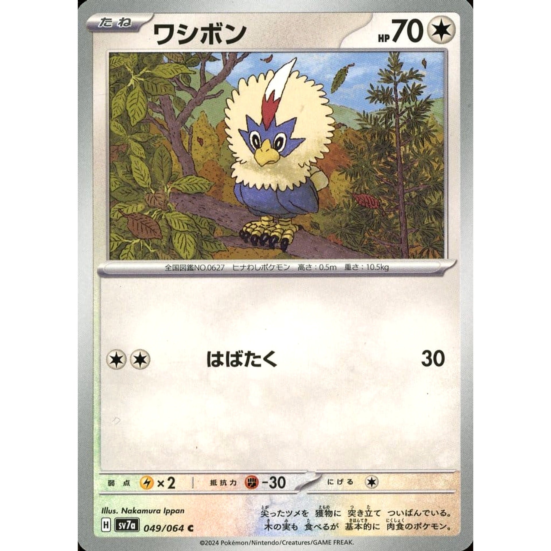 Pokemon Rufflet C 049/064 SV7a Paradise Dragona Japanese Pokemon Card [USED]