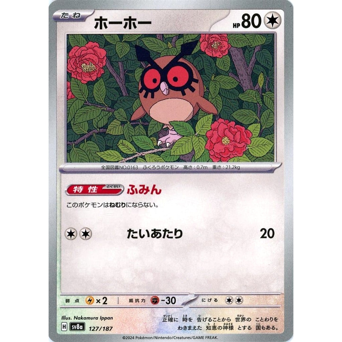 Pokemon Hoothoot 127/187 SV8a Terastal Fest ex Japanese Pokemon Card [USED]