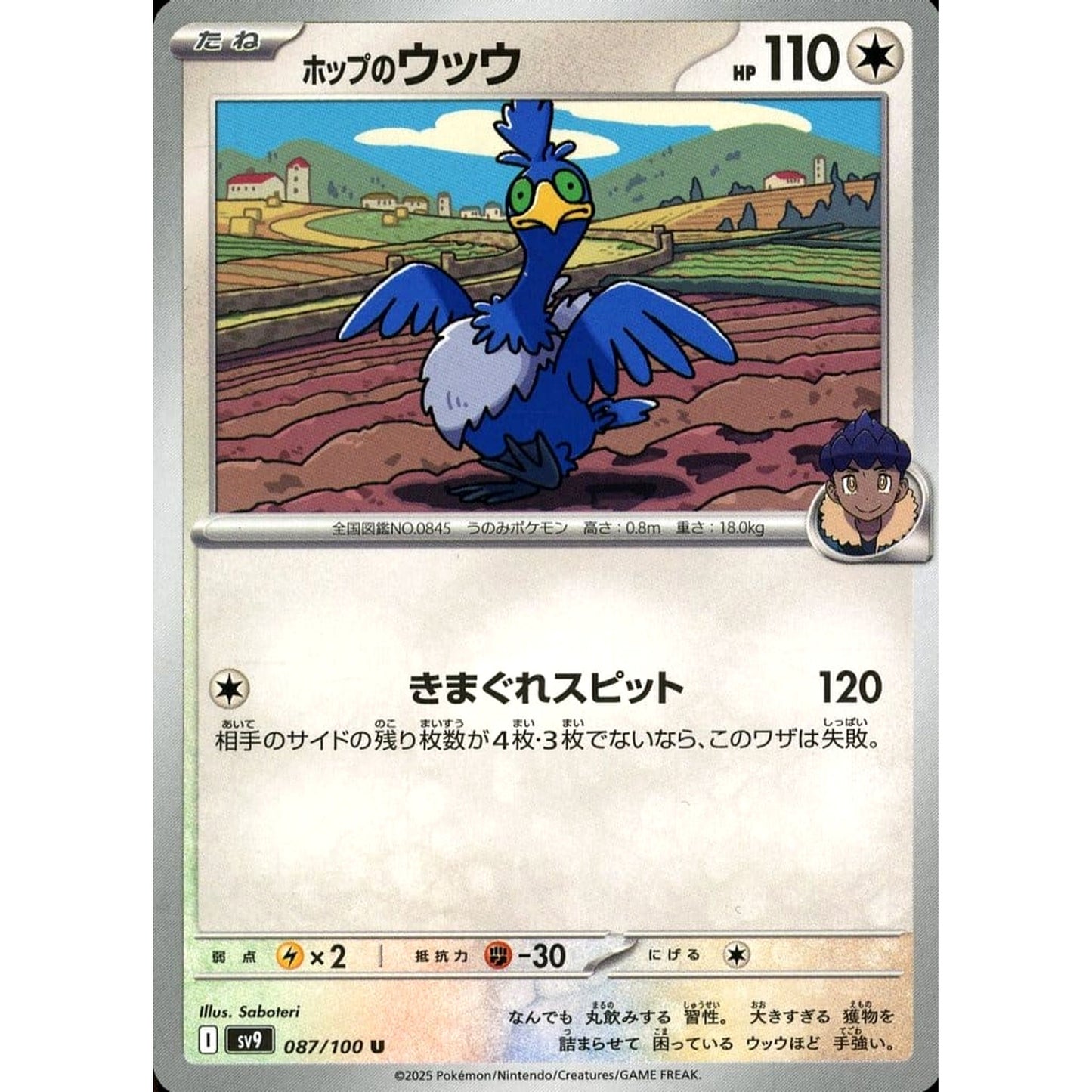 Pokemon Hop's Cramorant U 087/100 SV9 Battle Partners Japanese Pokemon Card [USED]