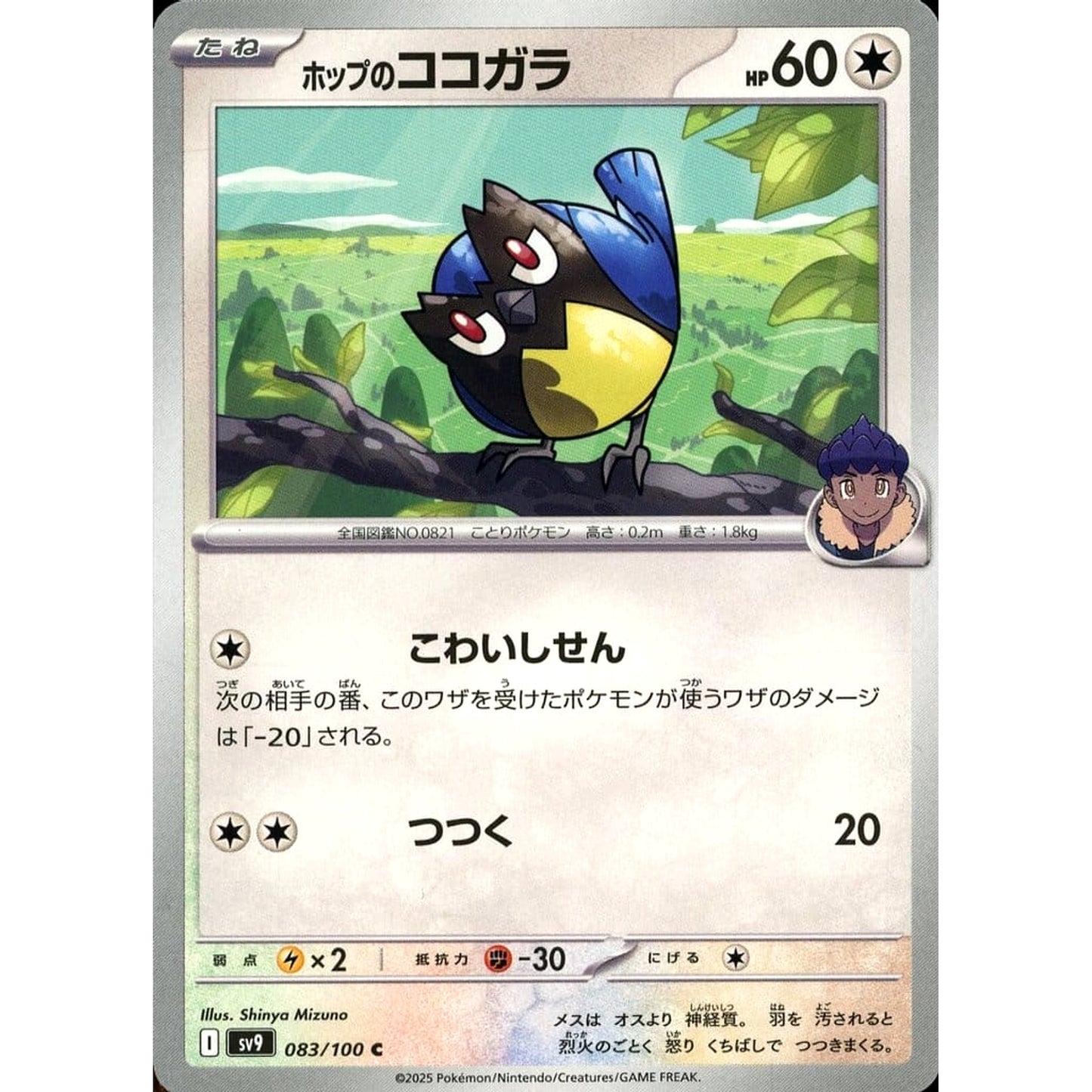 Pokemon Hop's Rookidee C 083/100 SV9 Battle Partners Japanese Pokemon Card [USED]