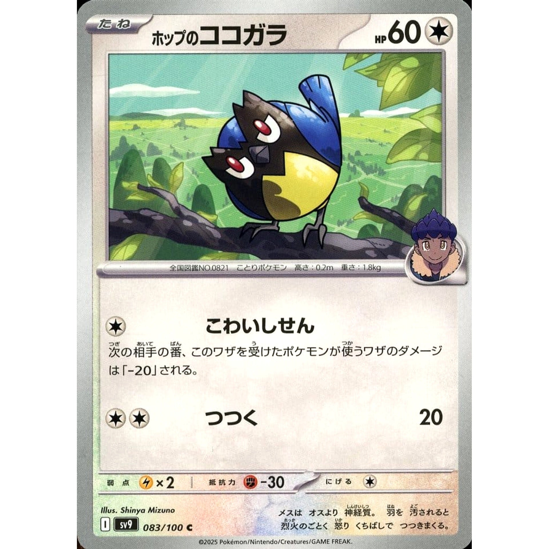 Pokemon Hop's Rookidee C 083/100 SV9 Battle Partners Japanese Pokemon Card [USED]