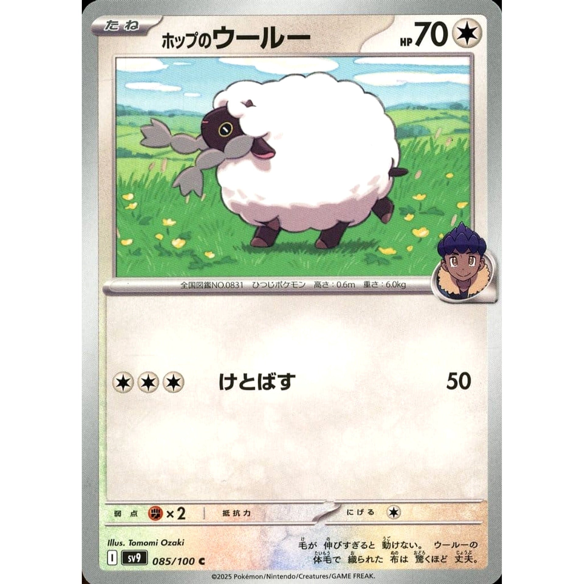 Pokemon Hop's Wooloo C 085/100 SV9 Battle Partners Japanese Pokemon Card [USED]