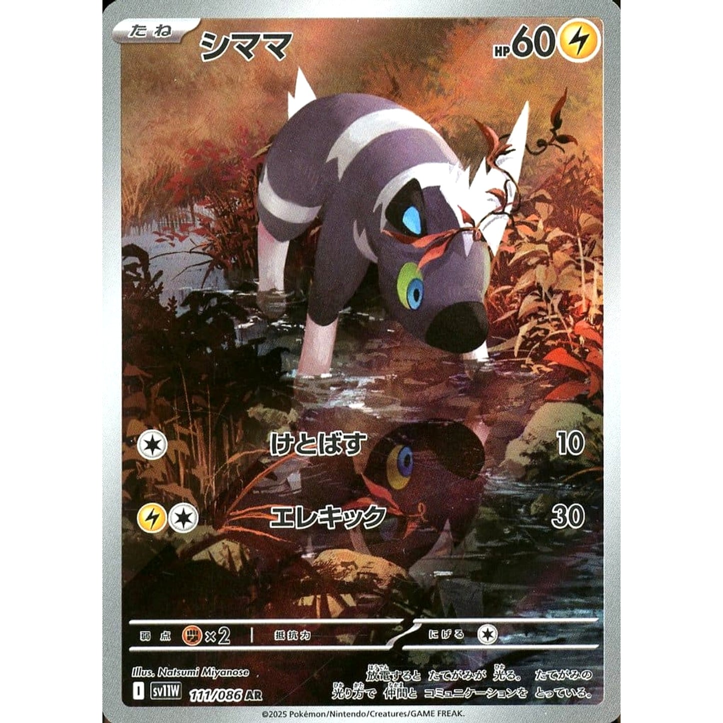 Pokemon Blitzle Holo AR 111/086 SV11W White Flare Japanese Pokemon Card [USED]