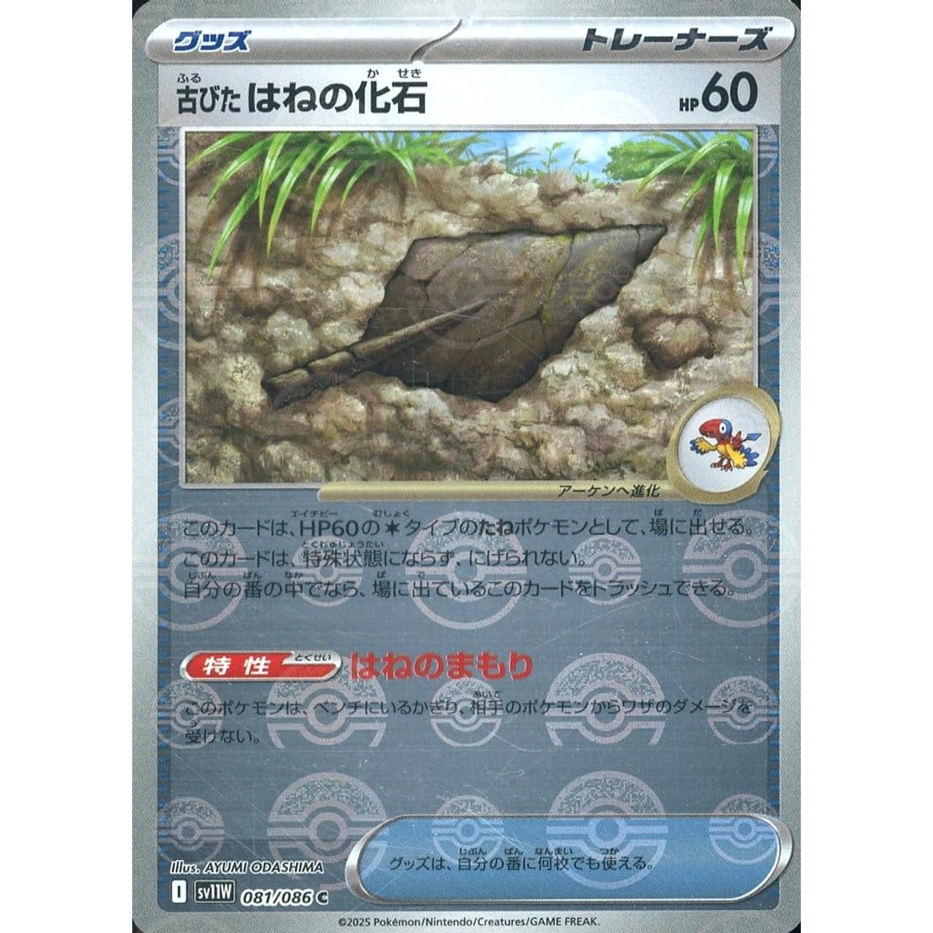 Pokemon Antique Plume Fossil Reverse Holo C 081/086 SV11W White Flare Japanese Pokemon Card [USED]