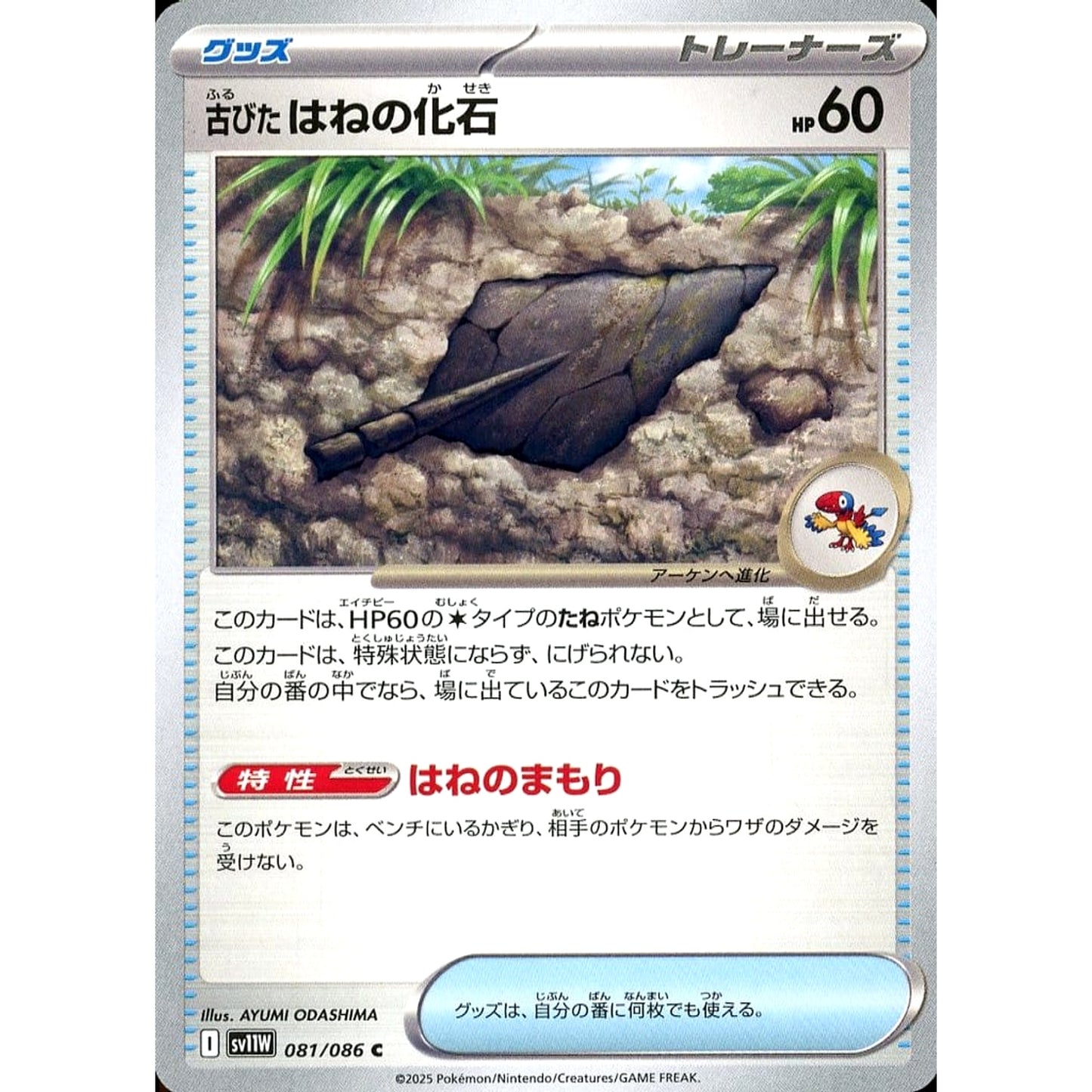 Pokemon Antique Plume Fossil C 081/086 SV11W White Flare Japanese Pokemon Card [USED]